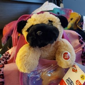 New plane rights pet in Carrier include brush and